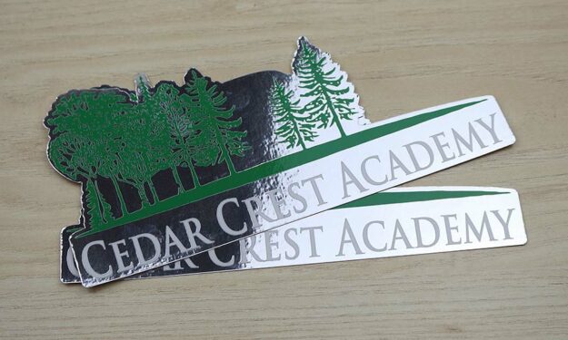 Mirror Chrome Car Dealership Stickers